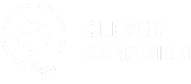 Clever Canadian